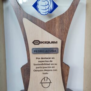 Galvano Reconocimiento Oxiquim